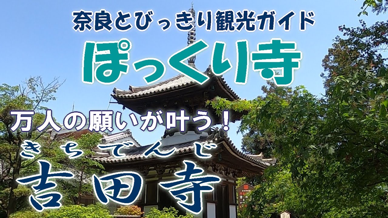 【奈良観光】奈良のぽっくり寺　法隆寺近くの古刹「吉田寺」編　「南無阿弥陀仏」を称えるとぽっくり逝ける  聖徳太子の里「斑鳩」いかるが　バーチャル奈良旅行　奈良とびっきり観光ガイド【ぽっくり寺】