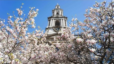 Choral Evensong for 14th December - Third Sunday of Advent