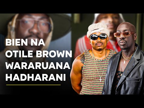 NANI MKALI OTILE BROWN AND BIEN SEEMINGLY AT WAR ON THE INTERNET AND WHY