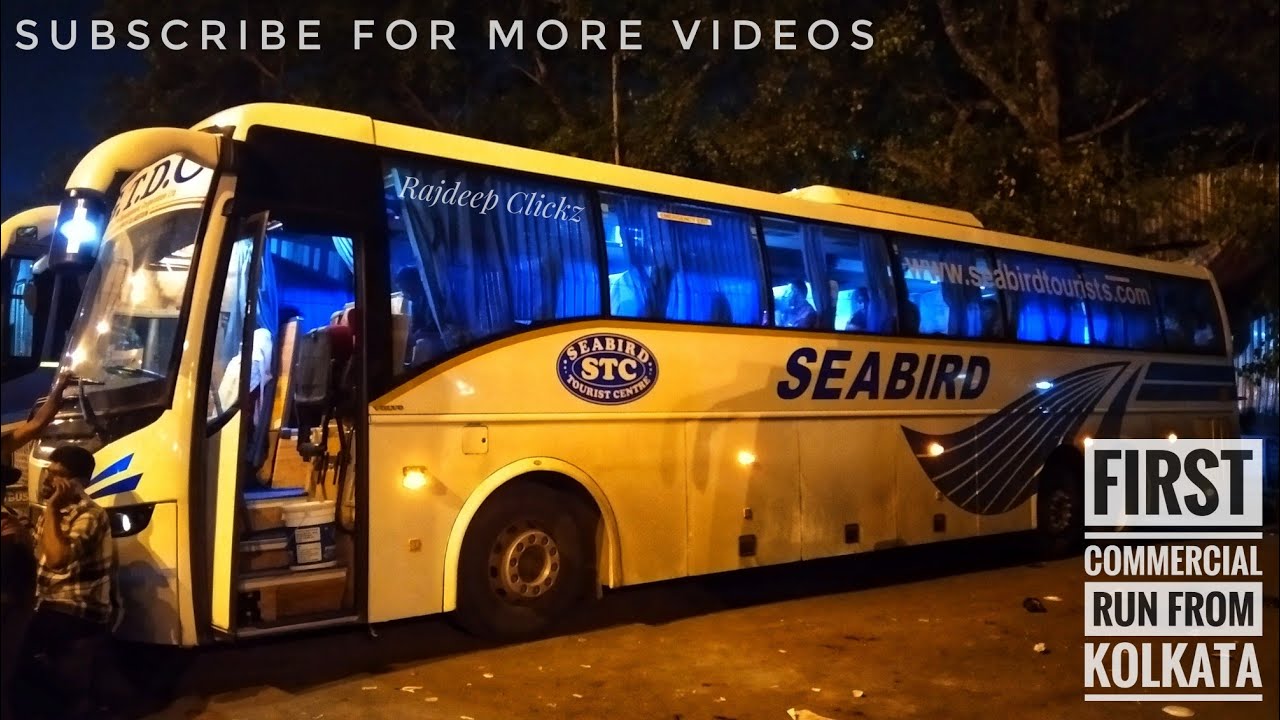 sea bird tourist review