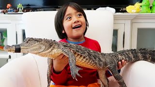 Animals come to visit Ryan's House and more one hour kids video!