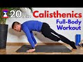 20 min calisthenics workout  no equipment  all levels