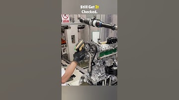 Timing Belt or Chain? Which One