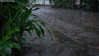 Gentle sound of rain falling on the walking path / Rain sound ASMR for insomnia, sleep, relaxation