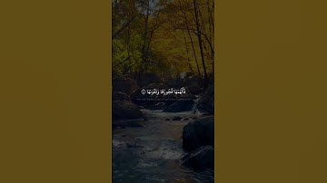 ونفس وماسواها | محمد صديق المنشاوي | سورة الشمس