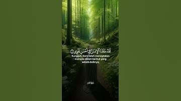 سورة التين و الزيتون#قران_كريم #حالات_واتس #صوت_القرآن_الكريم #المصحف