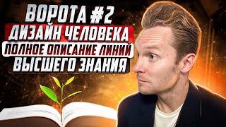 Ворота №2 Высшего знания в Дизайне Человека | Полное описание линий