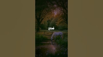 سورة القصص | الآية 60