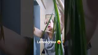 Lemongr Uncut I Got Lost