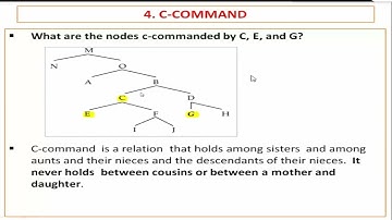 SYNTAX 21: Structural Relations (C-Command + Government)  # Explanation 2
