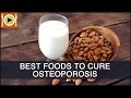 Foods to Cure Osteoporosis | Including Calcium, Magnesium & Vitamin D Rich