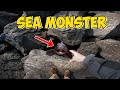 Real Sea Monster Sends Me to the Hospital!