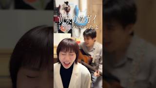 黄泉のツガイ主題歌ハモったよ  飛ぶ時/Vaundy #shorts