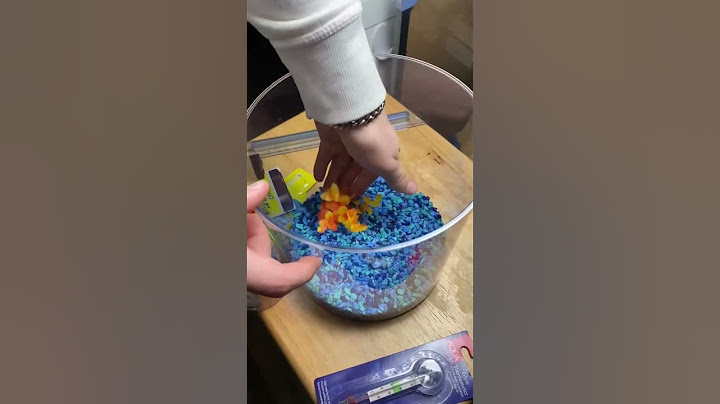 $50 Dollar Fish Aquarium Challenge at Walmart (NEW FISH) #shorts