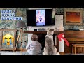 Adorable Baby &amp; Husky Puppies Reaction To Watching Themselves On TV😭💖.