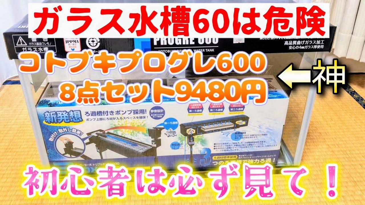 メダカ】初めてのガラス水槽60cm購入して大失敗😱注意点⚠️コトブキ
