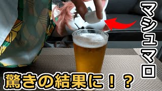 ビールにマシュマロを入れたら驚きの結果に…！？