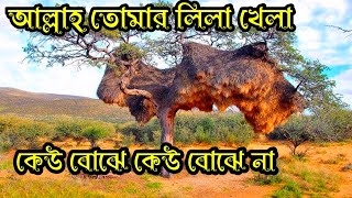 আল্লাহ তোমার লিলা খেলা কেউ বোঝে কেউ বোঝে না,New Islamic Gajal Bangla 2023