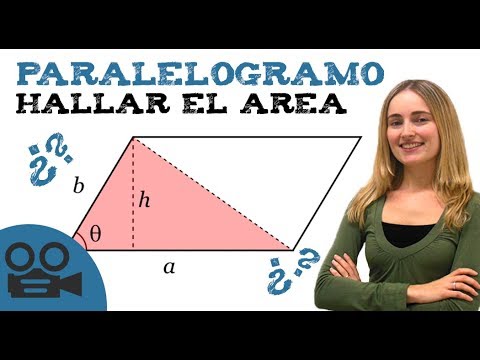 Video: Cómo Encontrar El área De Un Paralelogramo