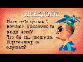 Короткие Анекдоты! Подборка смешных жизненных анекдотов нашего времени! Анекдоты смешные!