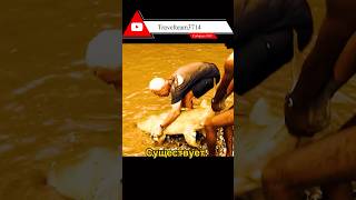 «ТАЙНА МОРСКОГО ЗМЕЯ» Речные Монстры #fishinglife #usa #fishing #snake #bigfish #убийцы