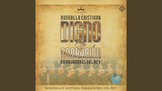 Video thumbnail of "Rondalla Cristiana Embajadores del Rey - La diestra del Señor"