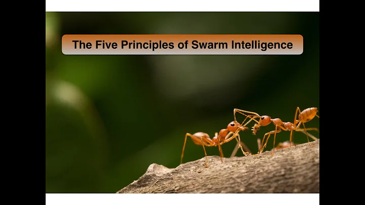 Five Principles of Swarm Intelligence — Artificial Intelligence (AI) Agentic Processing