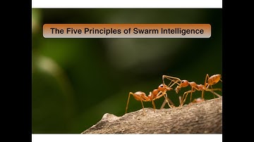 Five Principles of Swarm Intelligence — Artificial Intelligence (AI) Agentic Processing
