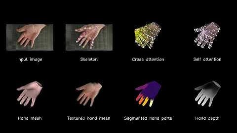 3D Hand Reconstruction and Texture Regression from a Single RGB Image