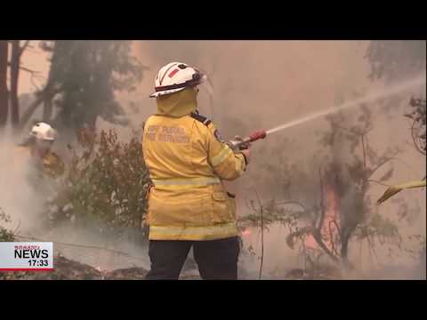 ავსტრალიაში ტყის ხანძრების 100-მდე კერა გაჩნდა