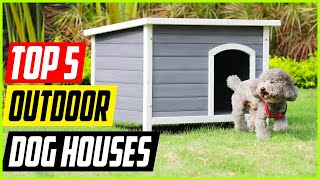Best Outdoor Dog Houses [Top 5 Picks]