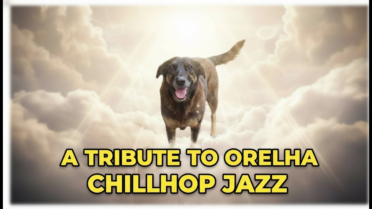 Late Night Chillhop Jazz Tribute to Orelha 🐾 | Velvet Moon Jazz