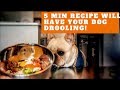 Simple Raw Dog Food Recipe | Daily Routine