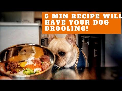 simple-raw-dog-food-recipe-|-daily-routine