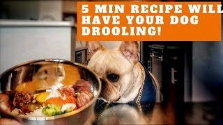 Simple Raw Dog Food Recipe | Daily Routine