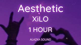 Aesthetic - Xilo 1 Hour