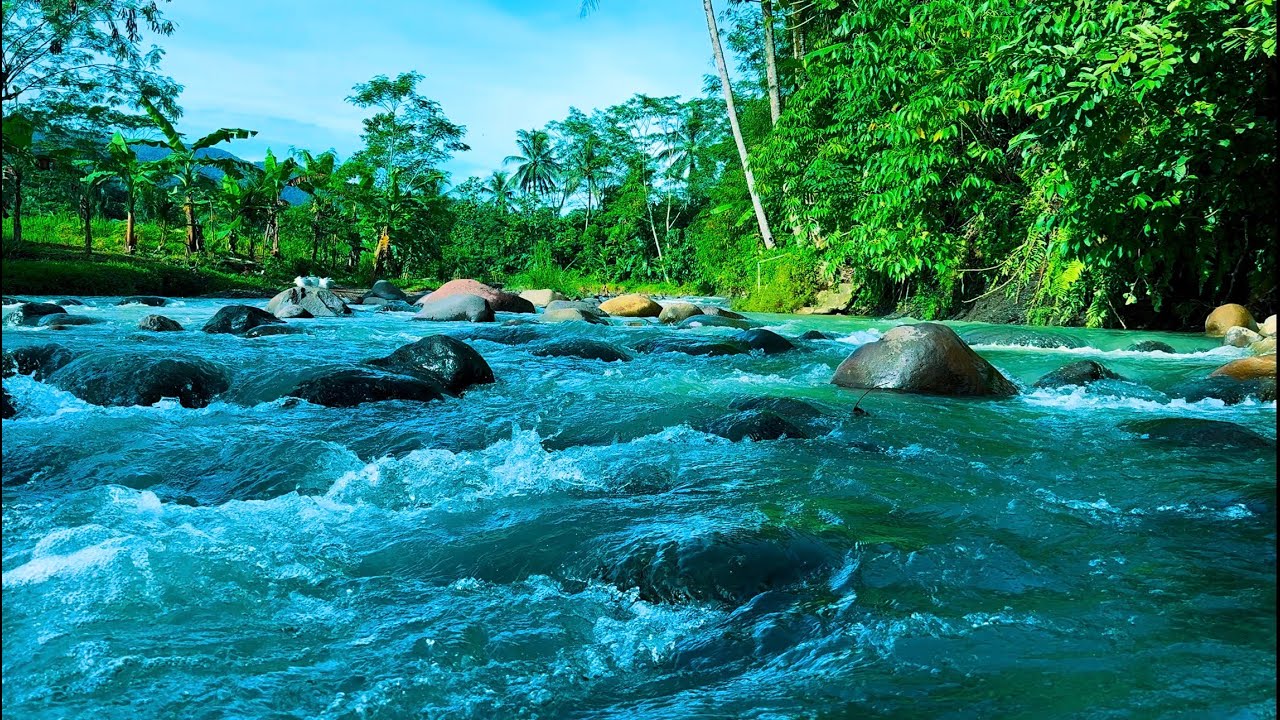 Experience ultimate relaxation and serenity as you watch this Mountain River Waterfall Flowing#17