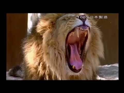 養命酒 猛獸篇