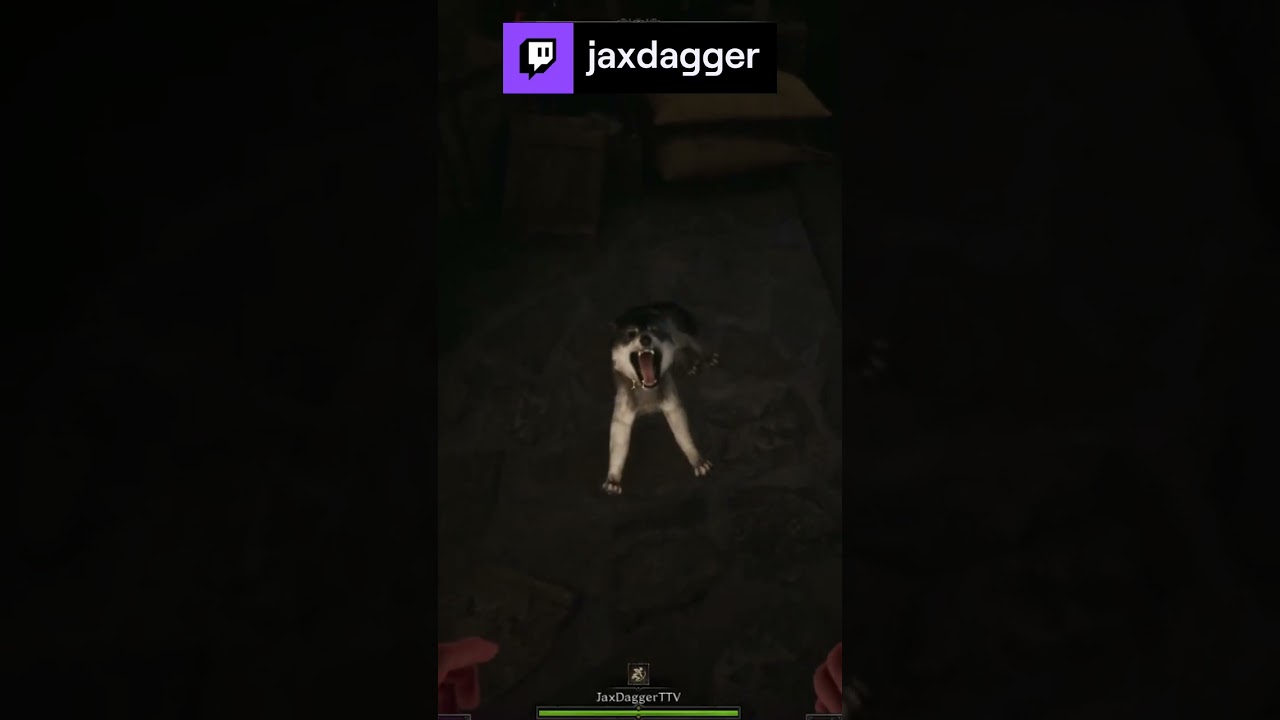 Always pet the dog in a game it's good luck 