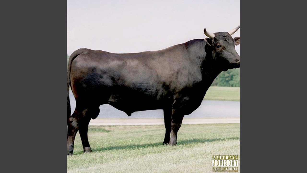 Watch Wagyu on YouTube Watch Wagyu on YouTube