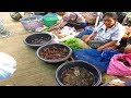 Thai-Laos Morning market , Frogs and Fields crabs in the market