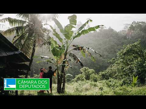 COMISSÃO DA AMAZÔNIA E DOS POVOS ORIGINÁRIOS E TRADICIONAIS