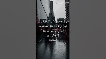 سورة النمل من  آية 62 إلى آية 63 بصوت الشيخ ياسر الدوسري♥♥