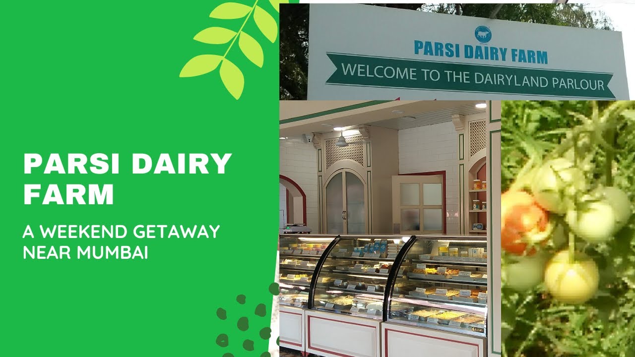 PARSI DAIRY FARM/WEEKEND GETAWAY NEAR MUMBAI/WEEKEND TRIP TO PARSI