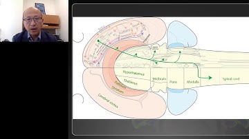 PANEL: Anatomical Characterization of Neuron Cell Types in the Mouse Brain