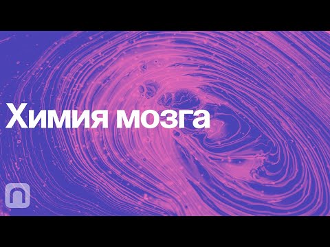 Химия мозга – курс Вячеслава Дубынина / ПостНаука