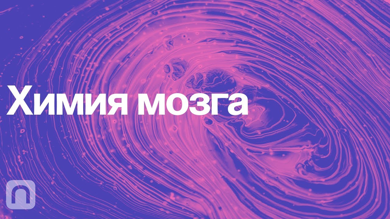 hq720.jpg