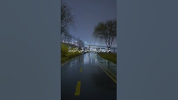 تلاوة هادئة تريح الاعصاب بصوت  عبد الرحمن مسعد 🤍  #القرآن_الكريم #اكسبلور #المصحف #لايك #الرحمن