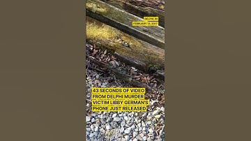 Delphi Murders: Final Moments