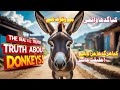 گدھے کے بارے میں حیرت انگیز حقائق    